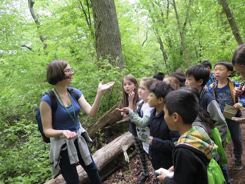 Environmental learning activity in forest setting
