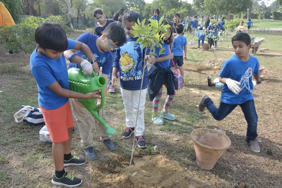 Youth tree planting